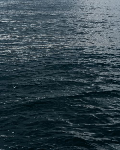 Free Tranquil view of a calm ocean surface with gentle waves capturing the serenity of the sea. Stock Photo