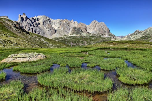 Vibrant wetland with lush grasses and mountain backdrop in Briançon, France.