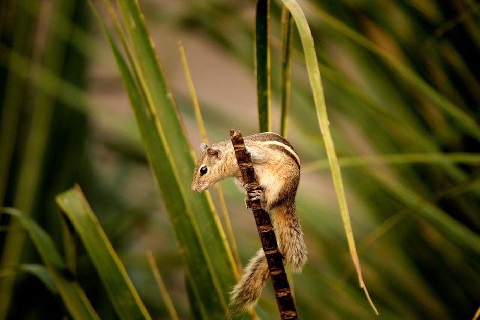 A chipmunk climbing a branch surrounded by lush green leaves.