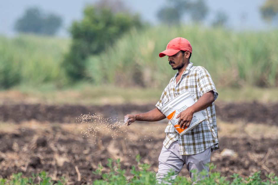 half|old farmer sowing seeds