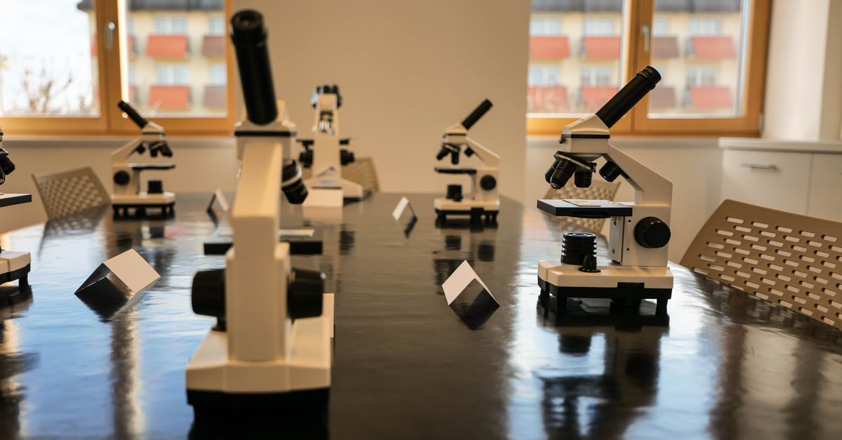 A modern laboratory classroom featuring microscopes on a glossy table, with large windows and natural light.
