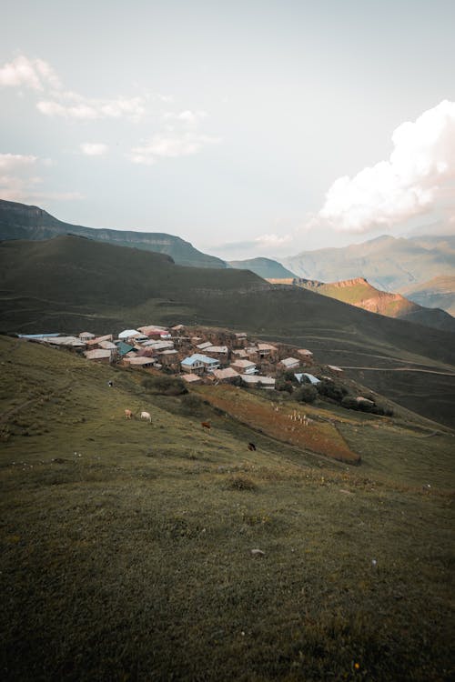 Imagine de stoc gratuită din daghestan, fotografiere verticală, la țară
