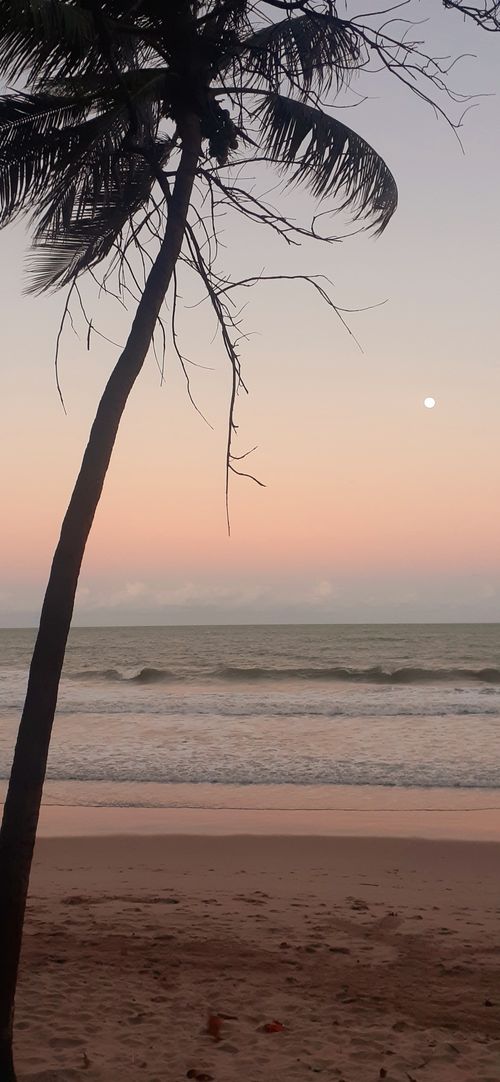 Free SUNSET THERAPY 12 Stock Photo