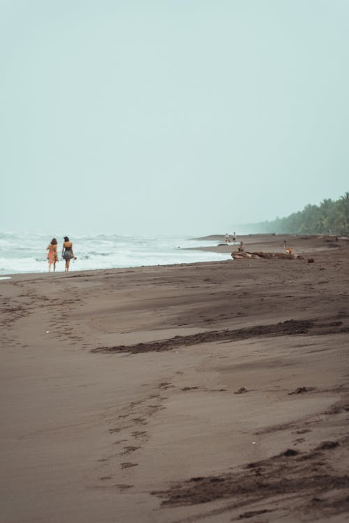 Бесплатное стоковое фото с ocean beach, коста рика, природа