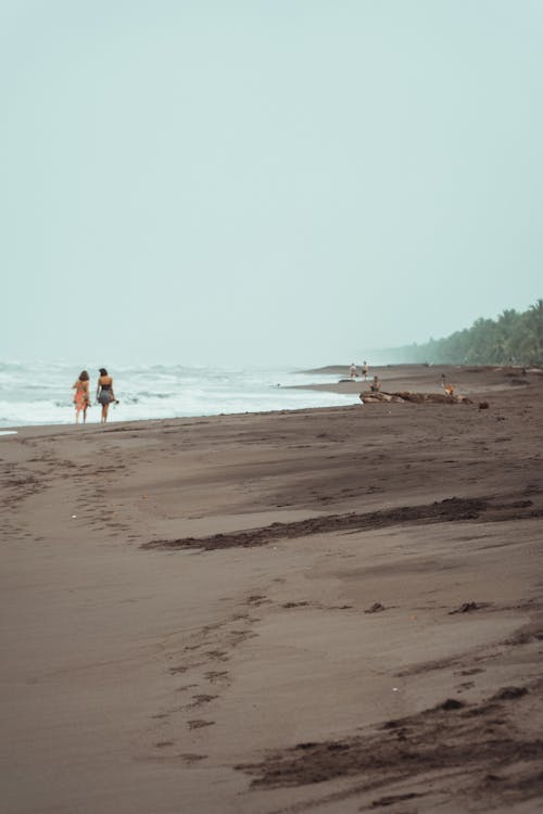 Free stock photo of costa rica, nature, ocean beach