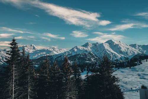 Photos gratuites de arbres, blue sky with clouds, hiver