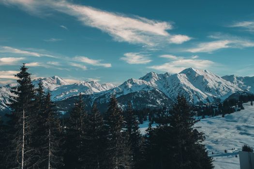 A stunning view of snow-capped mountains and pine trees in Hauteluce, France during winter.