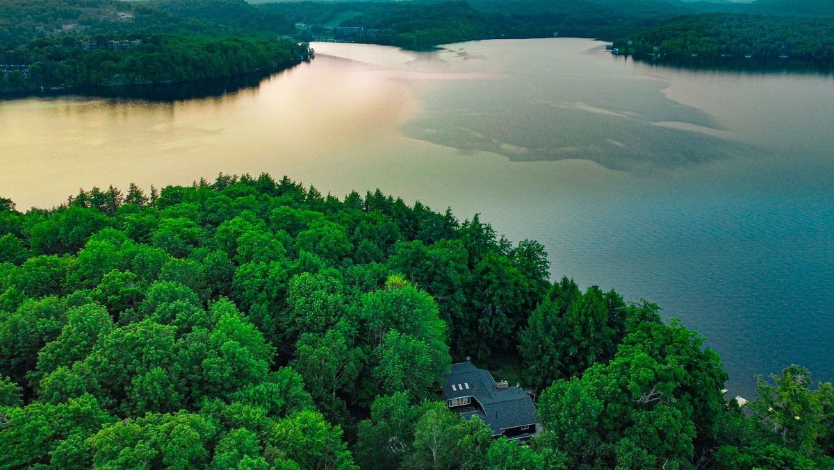 Lush green forest beside tranquil water
