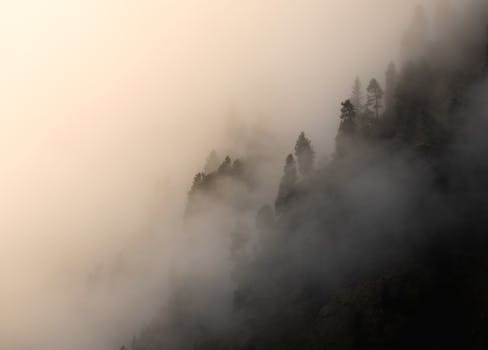 Enchanting mist and fog enveloping a forested mountain in Ginzling, Tirol.