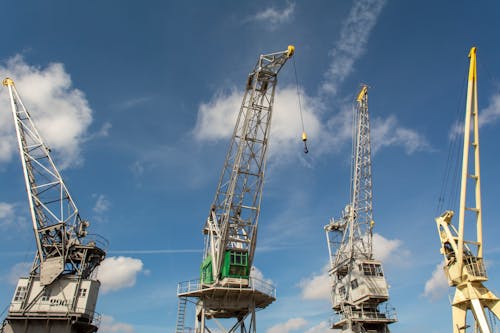 Cranes in Harbor