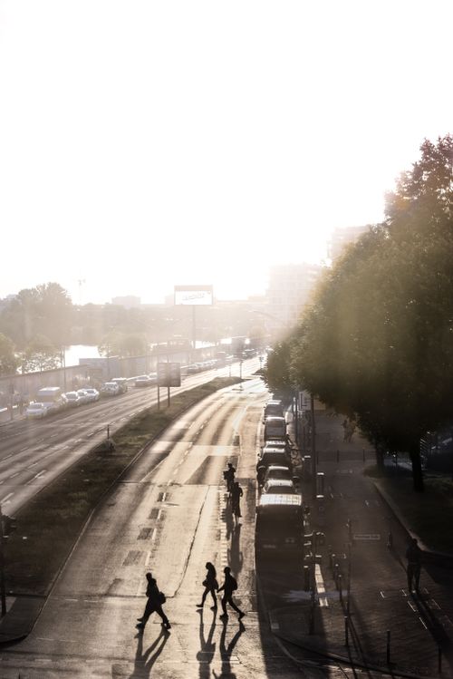 Free Silhouetted people cross a sunlit highway in an early morning urban setting. Stock Photo