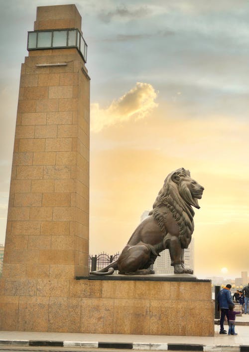 Photos gratuites de afrique, caire, coucher de soleil doré