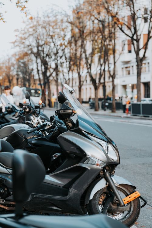 Free A row of parked scooters on a tree-lined street in Paris, France. Stock Photo