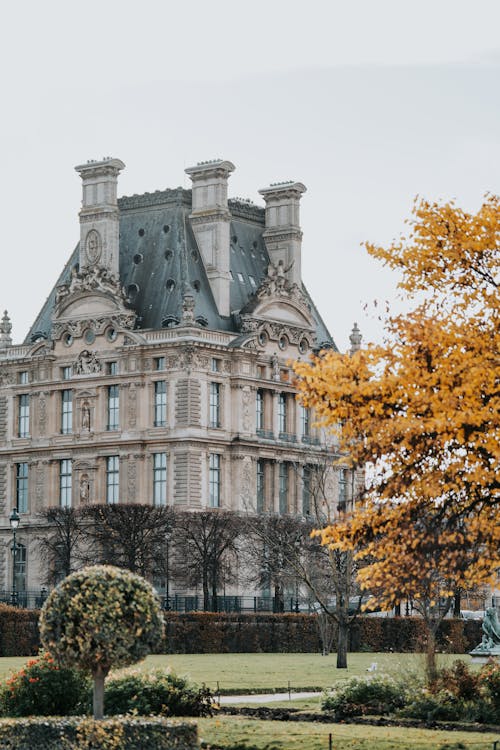 Louvre and Tuileries Garden in Autumn