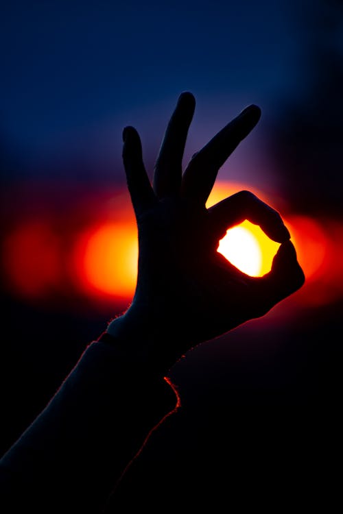 Immagine gratuita di esprimere a gesti, firma, mani mani umane