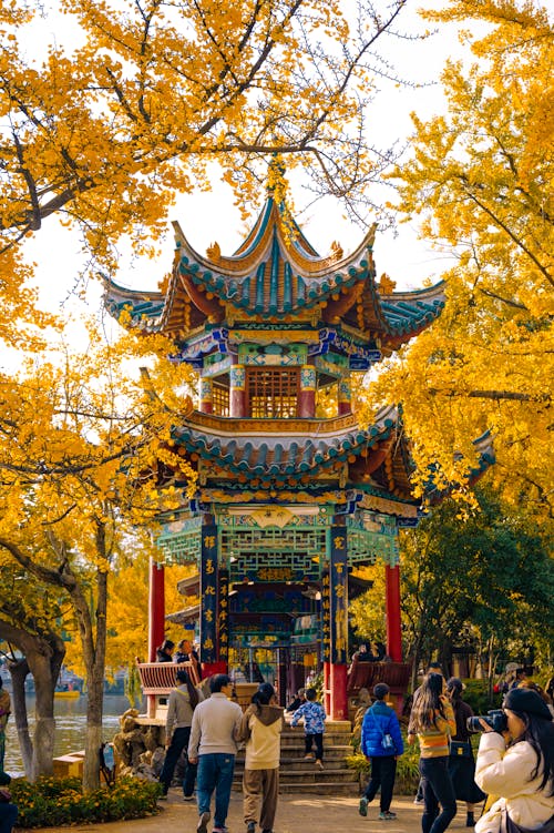 Immagine gratuita di architettura cinese, autunno, cadere