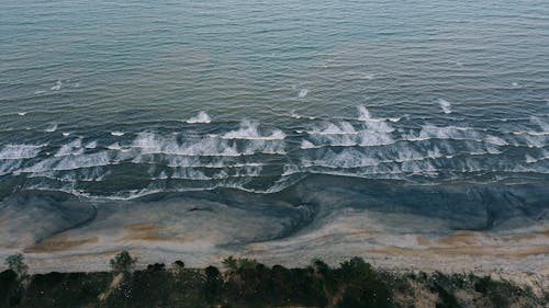 Waves by the Shore 