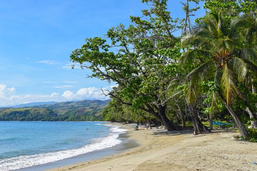 Los Haitises mangroves boat — Dominican Republic