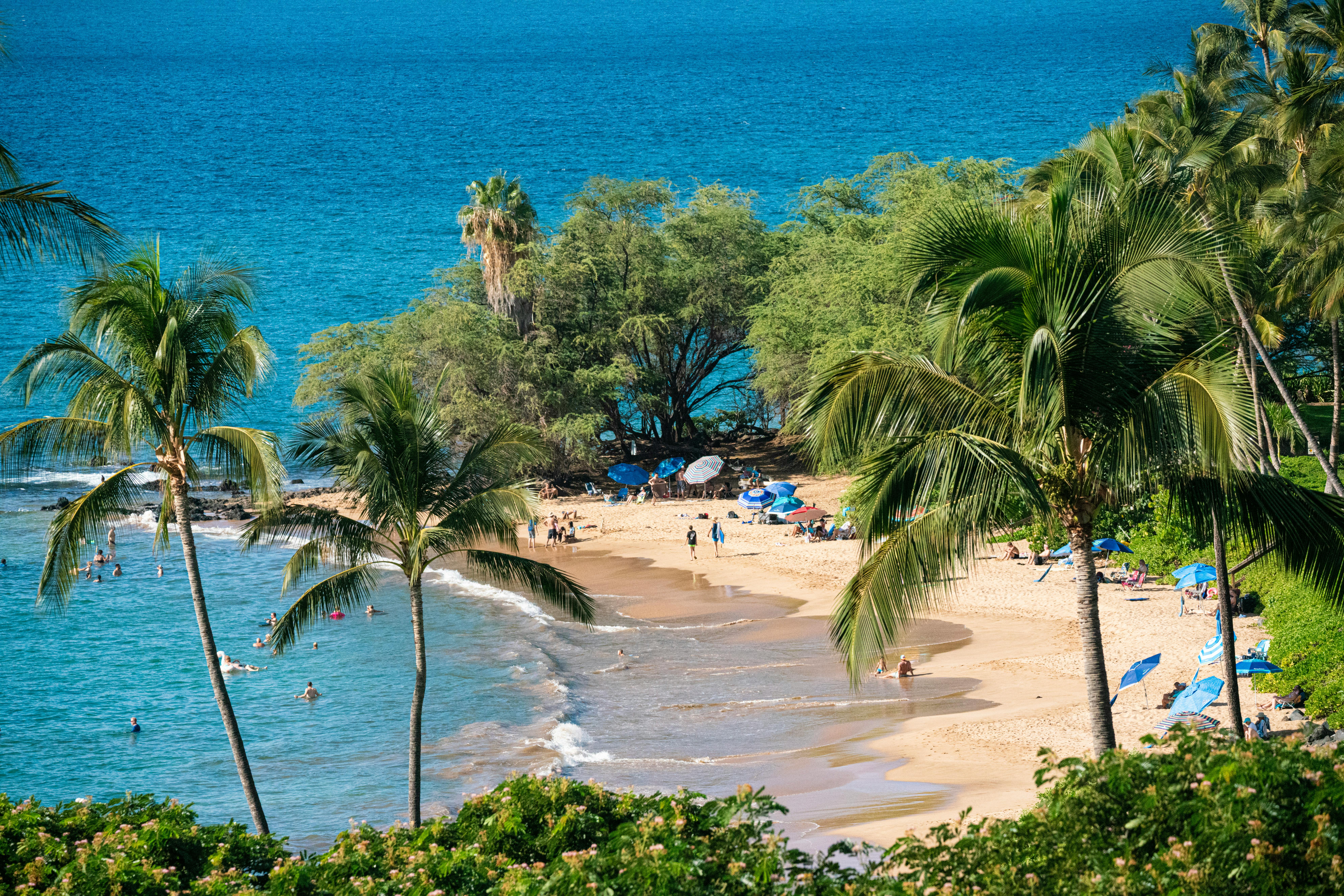 maui jim sunglasses beach setting