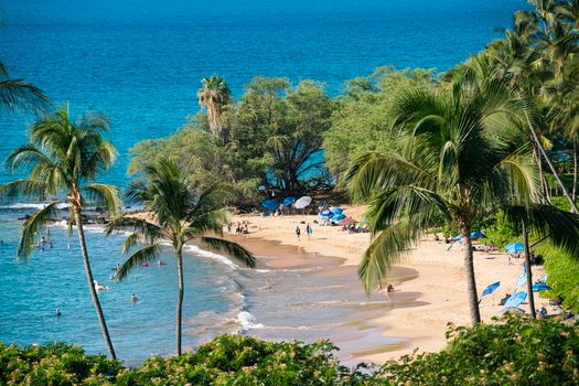 Photo by Yuanpang Wa Stunning aerial view of a tropical beach with palm trees, clear blue waters, and visitors enjoying a sunny day.
