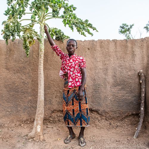 Free A woman in Nigeria stands beside a papaya tree in traditional attire against a rustic wall. Stock Photo