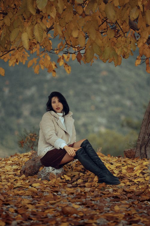 Základová fotografie zdarma na téma brunetka, bunda, elegantní