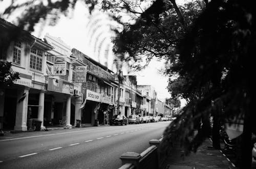 Black and White View of a Street and Buildings in City 