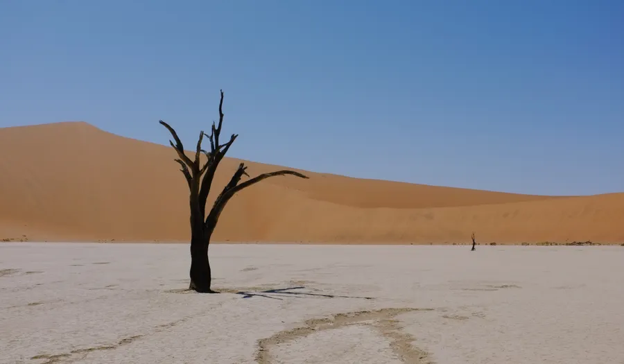 Sossusvlei et les dunes