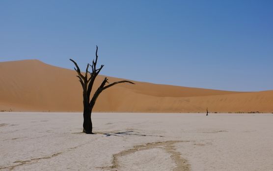 Sossusvlei, Namibia photo 19
