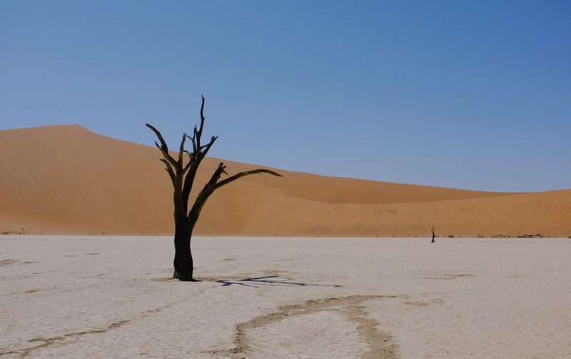 Deadvlei