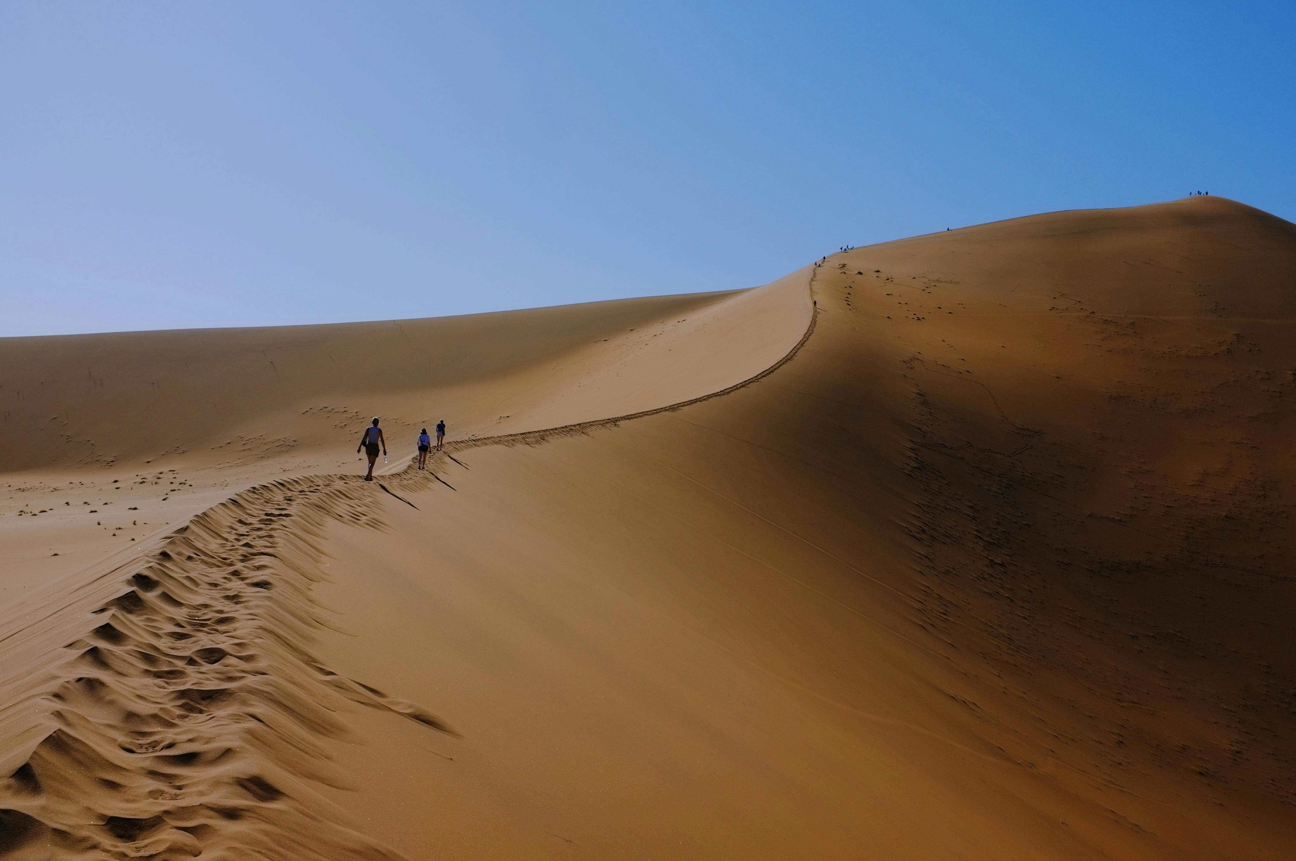 A group of hikers trek across vast desert dunes under a clear blue sky.