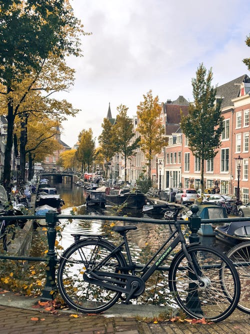 Gratis stockfoto met Amsterdam, bomen, boten