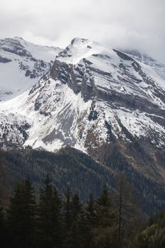Breathtaking view of a snow-capped mountain peak in Tux, Tirol, Austria with evergreen forests below.