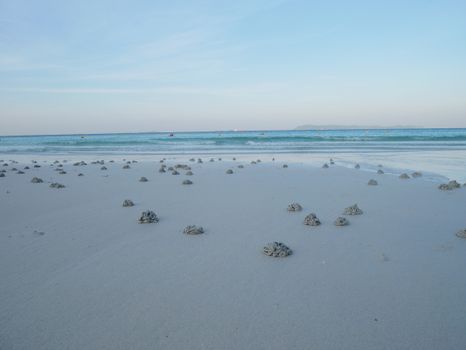 A beach with a lot of shells on the sand