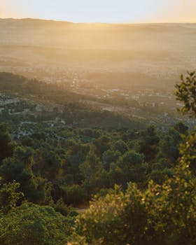 A breathtaking view of a forest and hills at sunrise, capturing nature's beauty and tranquility.