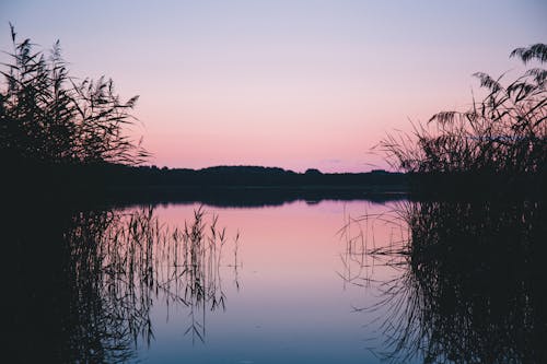 Základová fotografie zdarma na téma čisté nebe, idylický, jezero