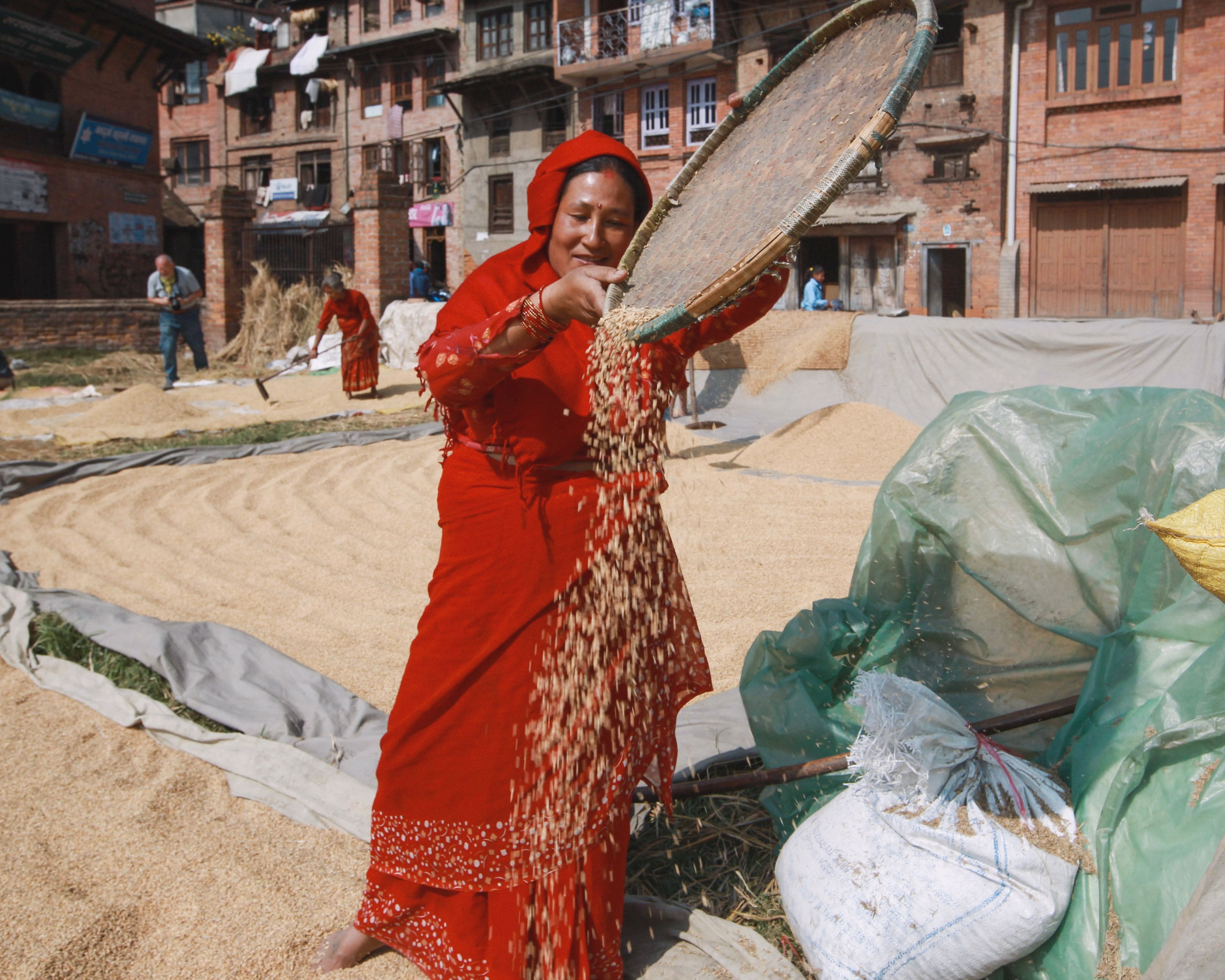 Red Rice