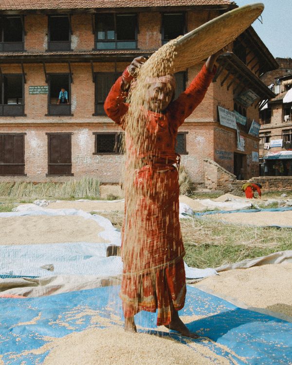 Local Winower A Woman Holding a Winnowing Basket · Free Stock Photo