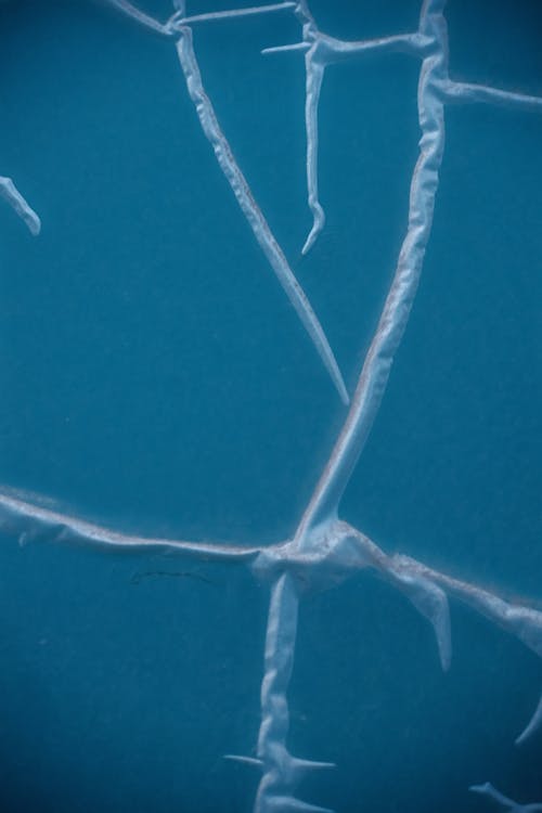 buruşuk, buz, çatlamış içeren Ücretsiz stok fotoğraf