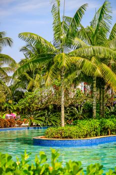 Lush tropical resort scene with palm trees and vibrant pool area, ideal for summer relaxation.