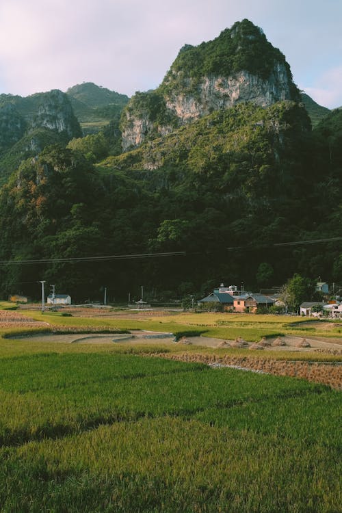 View of a Cropland in a Mountain Valley 