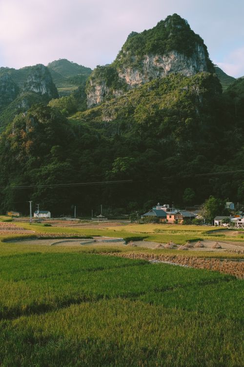 Free Captivating view of lush fields and towering mountains in a rural countryside setting. Stock Photo