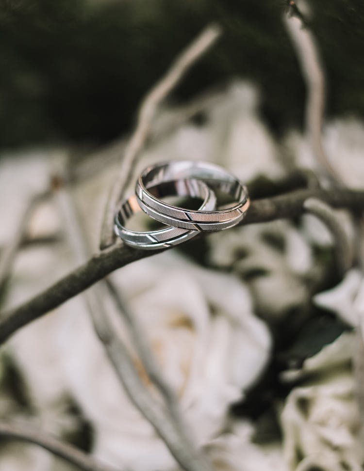 Close-up Of A Pair Of Silver Wedding Rings On A Twig