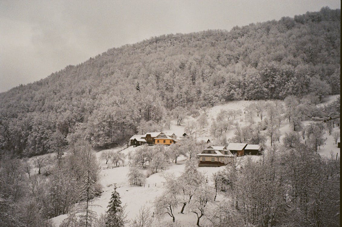 Winter Landscape with Trees, Hills and Buildings