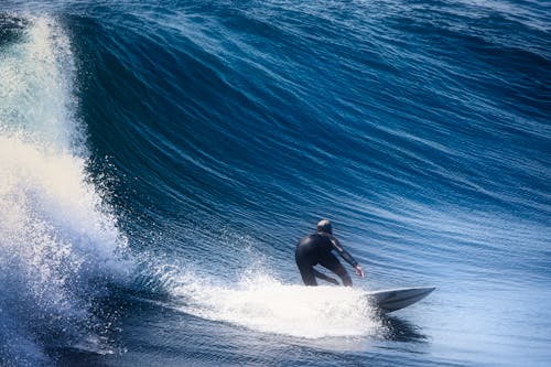 Surfer on Wave 