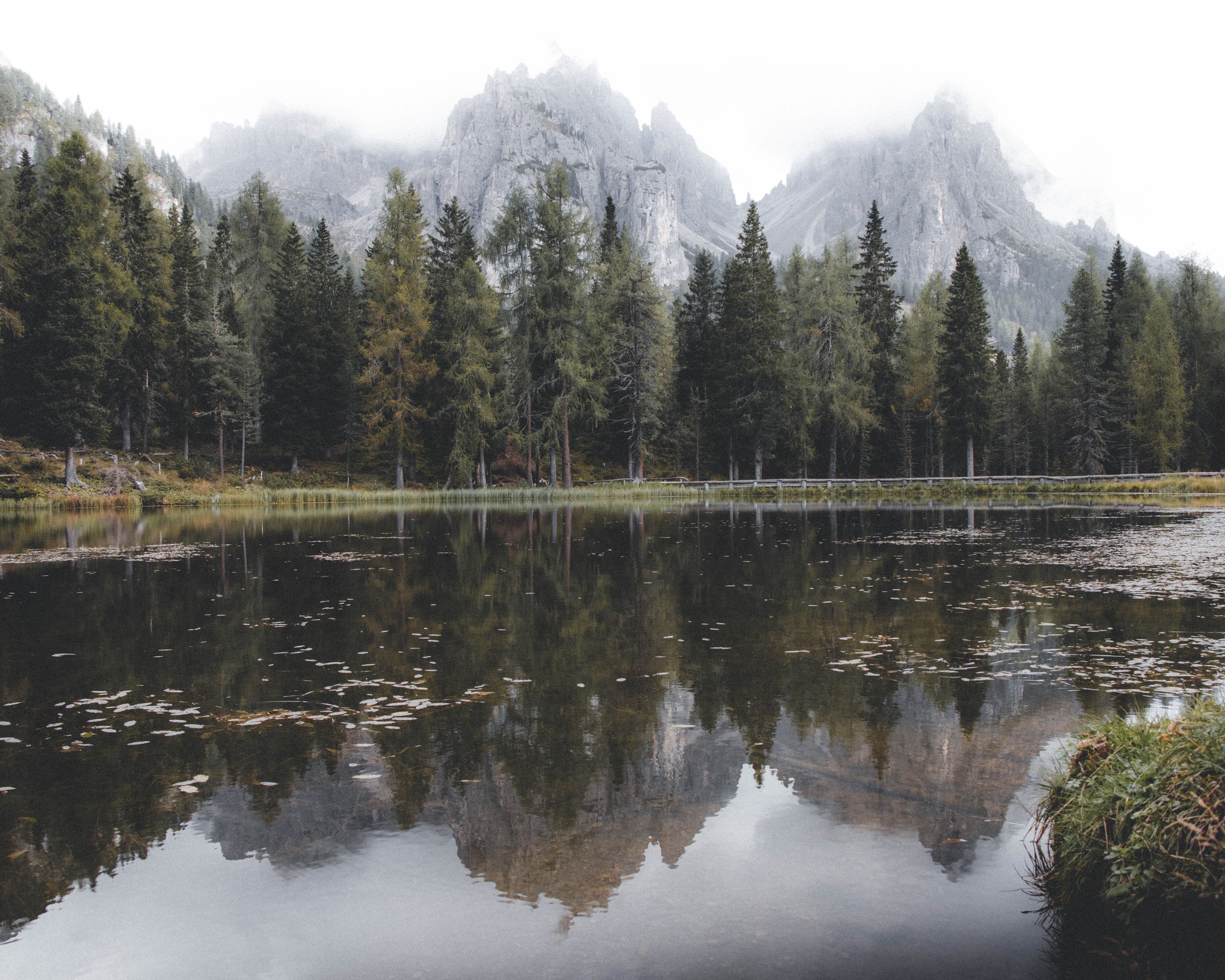 Trees Reflected in Mountain Lake · Free Stock Photo