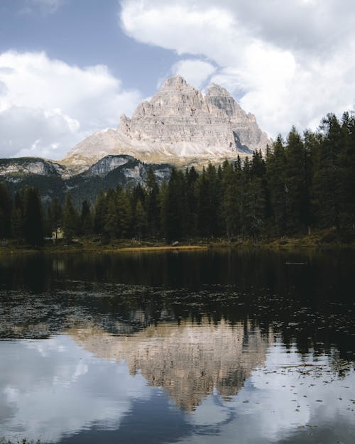 A Mountain and a Forest Reflected in a Lake 