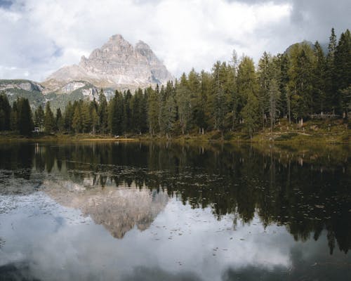 Free Forest Trees and a Mountain Reflected in the Lake  Stock Photo