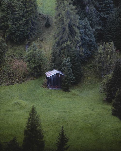 Free A small rustic cabin nestled in a lush, verdant hillside surrounded by dense trees, evoking tranquility. Stock Photo