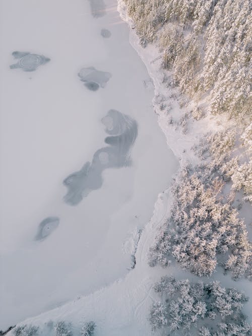 Drone Shot of a Forest in Winter and a Frozen Lake